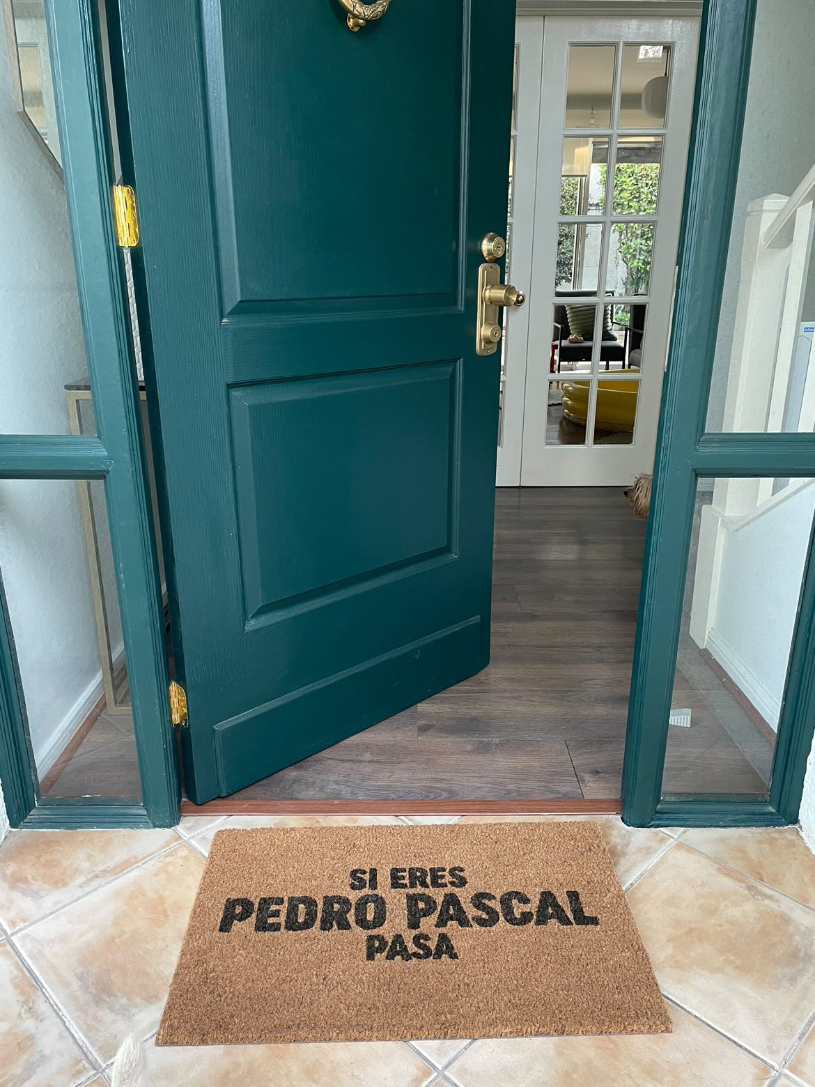 SI ERES PEDRO PASCAL PASA