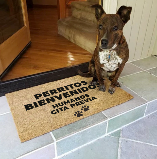 Perritos bienvenidos humanos cita previa - limpiapies choapino