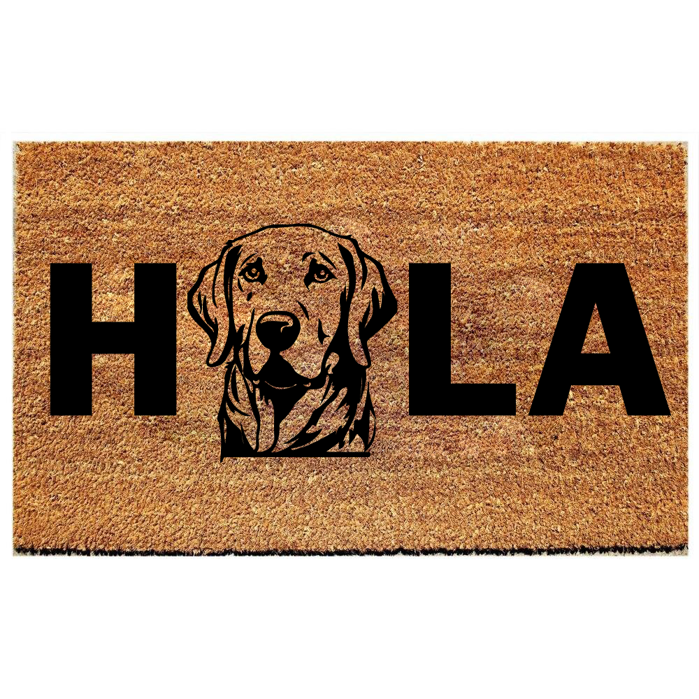 HOLA LABRADOR