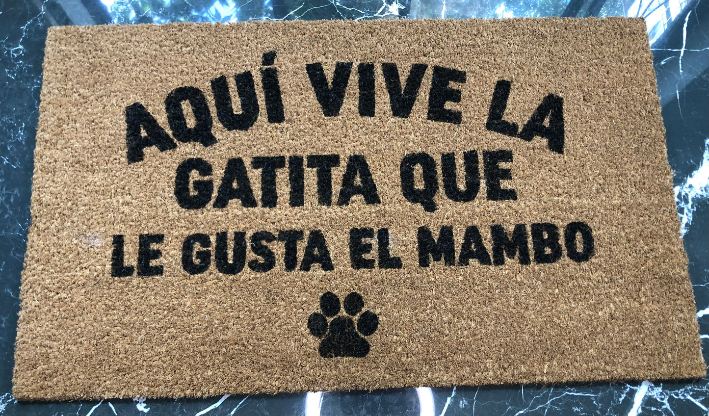 la gatita que le gusta el mambo