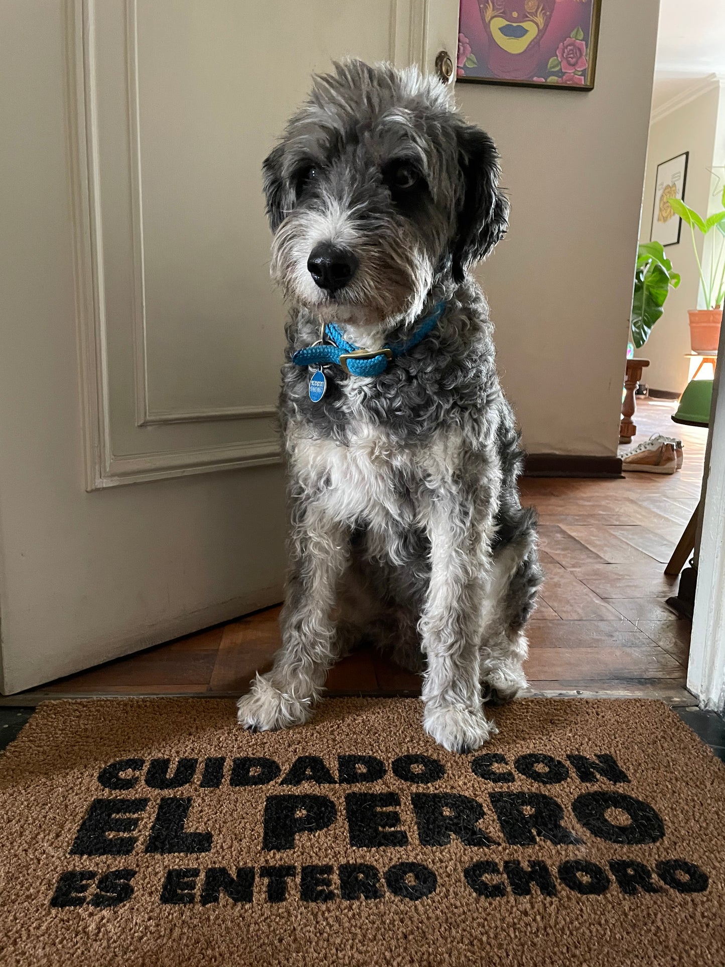 cuidado con el perro es entero choro