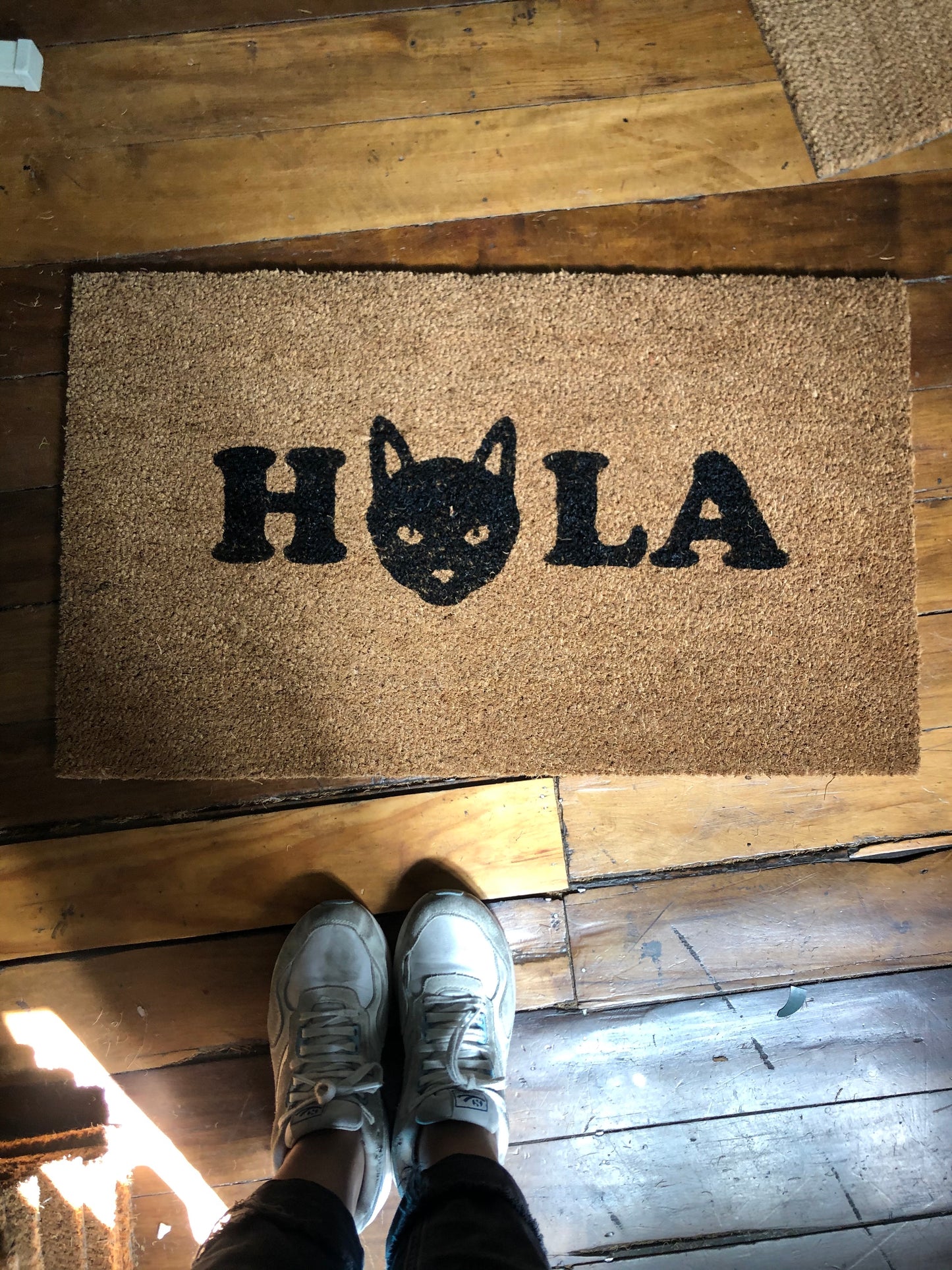 gato hola -limpiapies