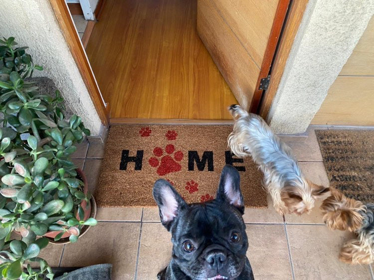 Felpa Home Patitas