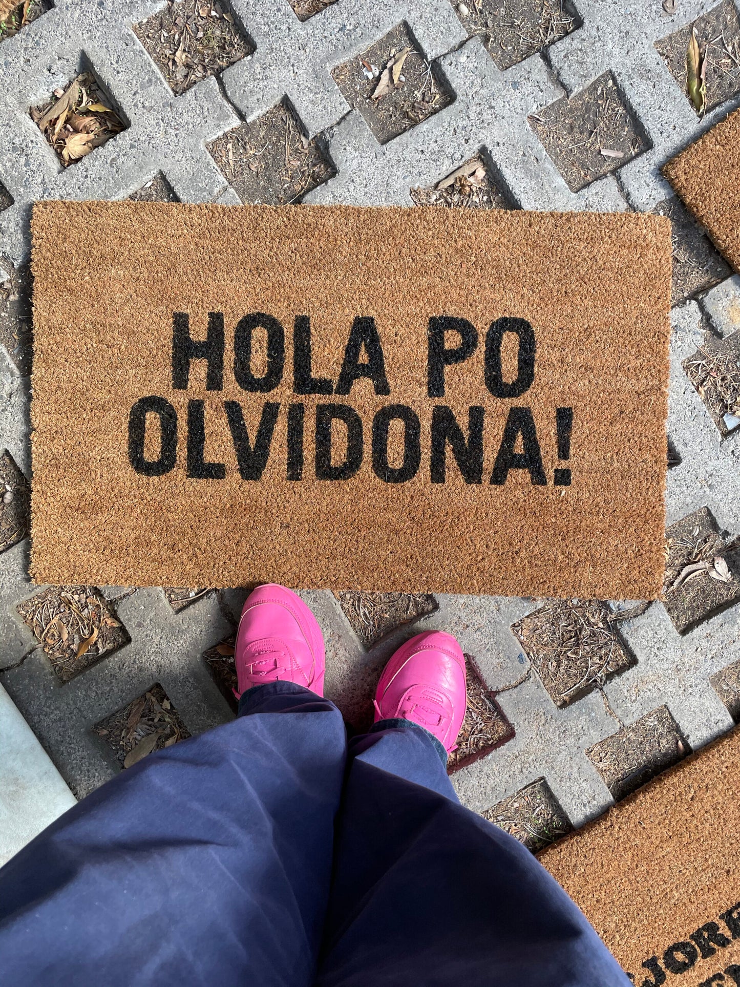 Hola po olvidona - Limpiapies