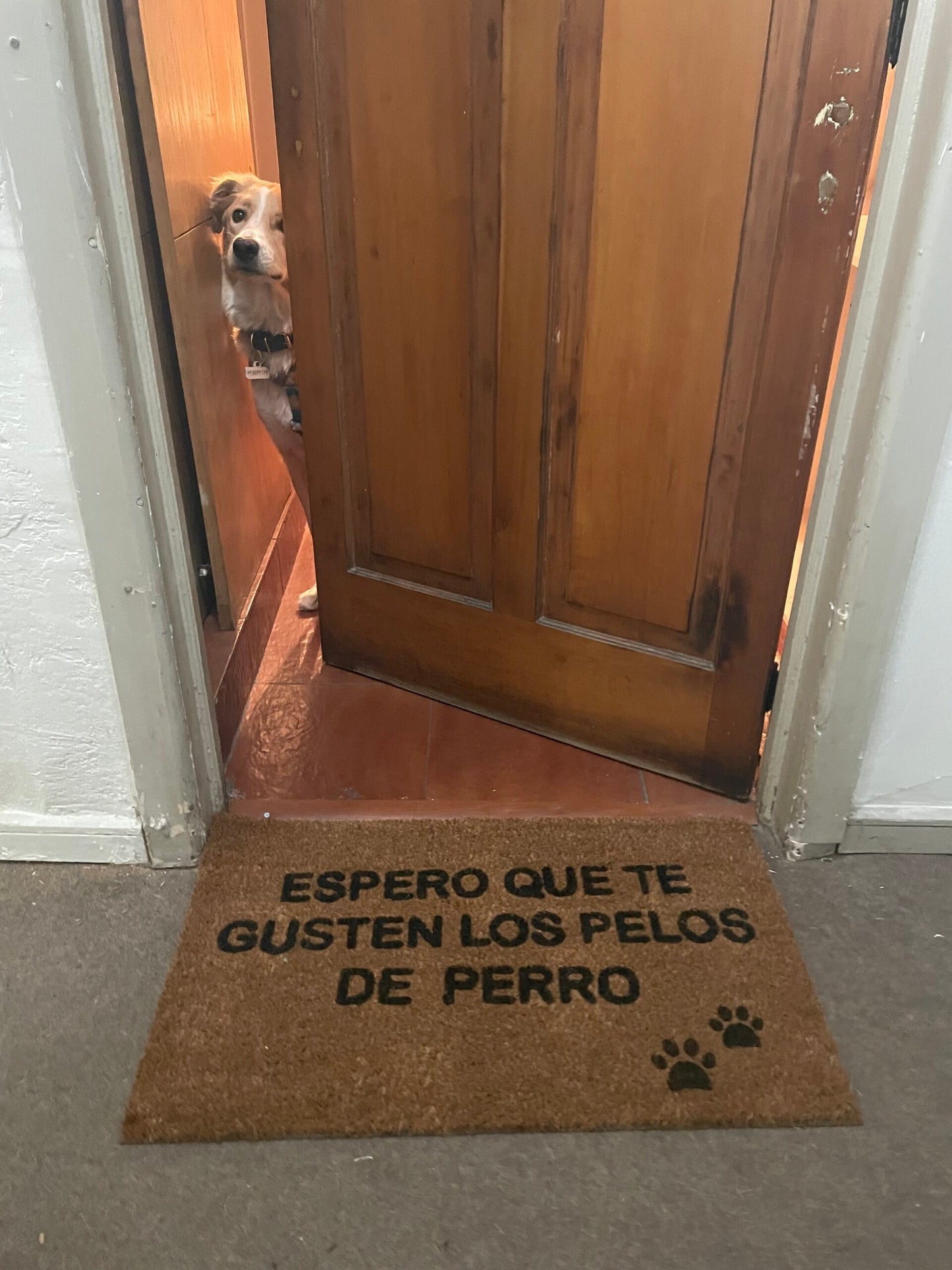 Espero que te gusten los pelos de perro