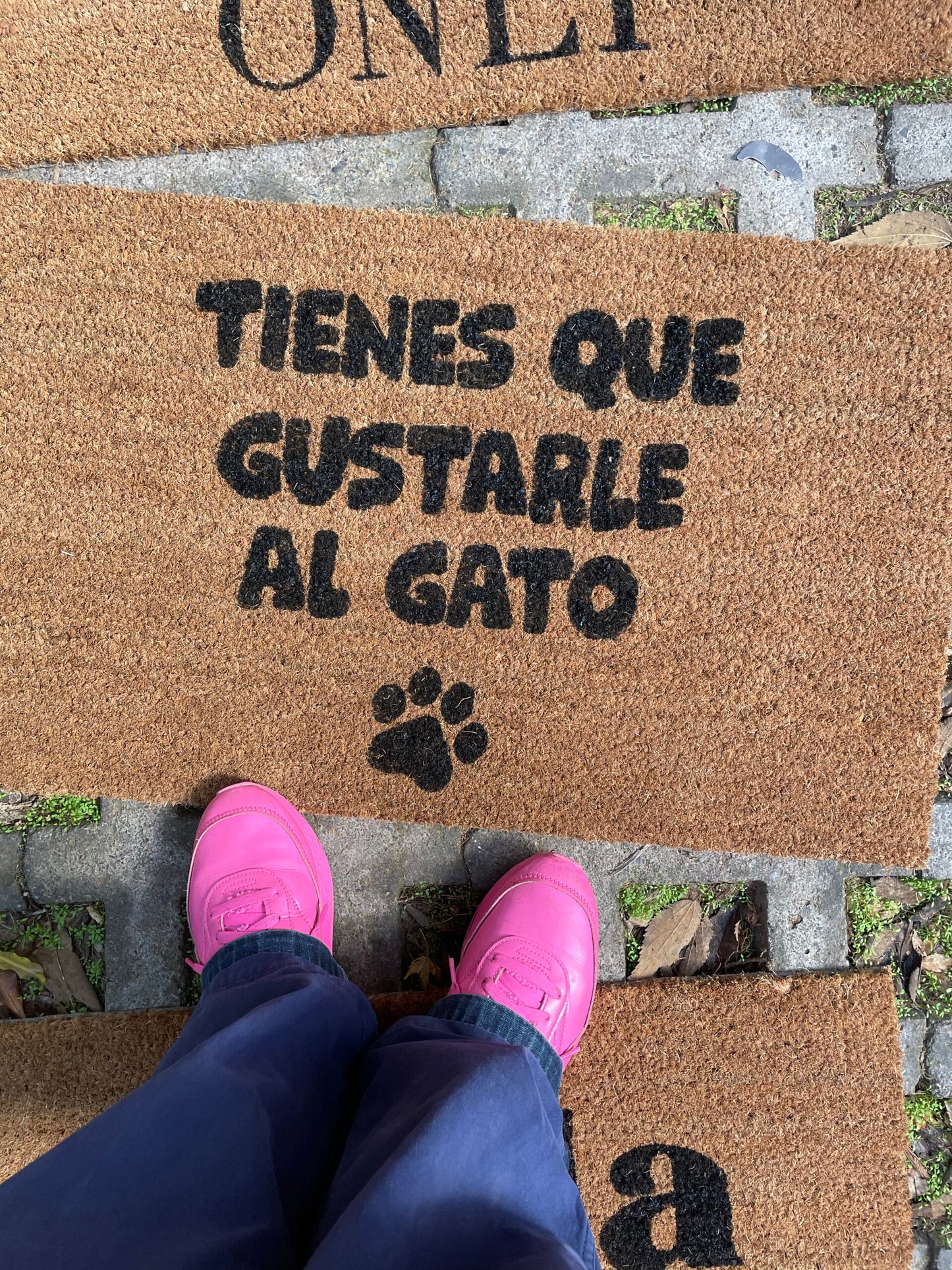 tienes que gustarle al gato