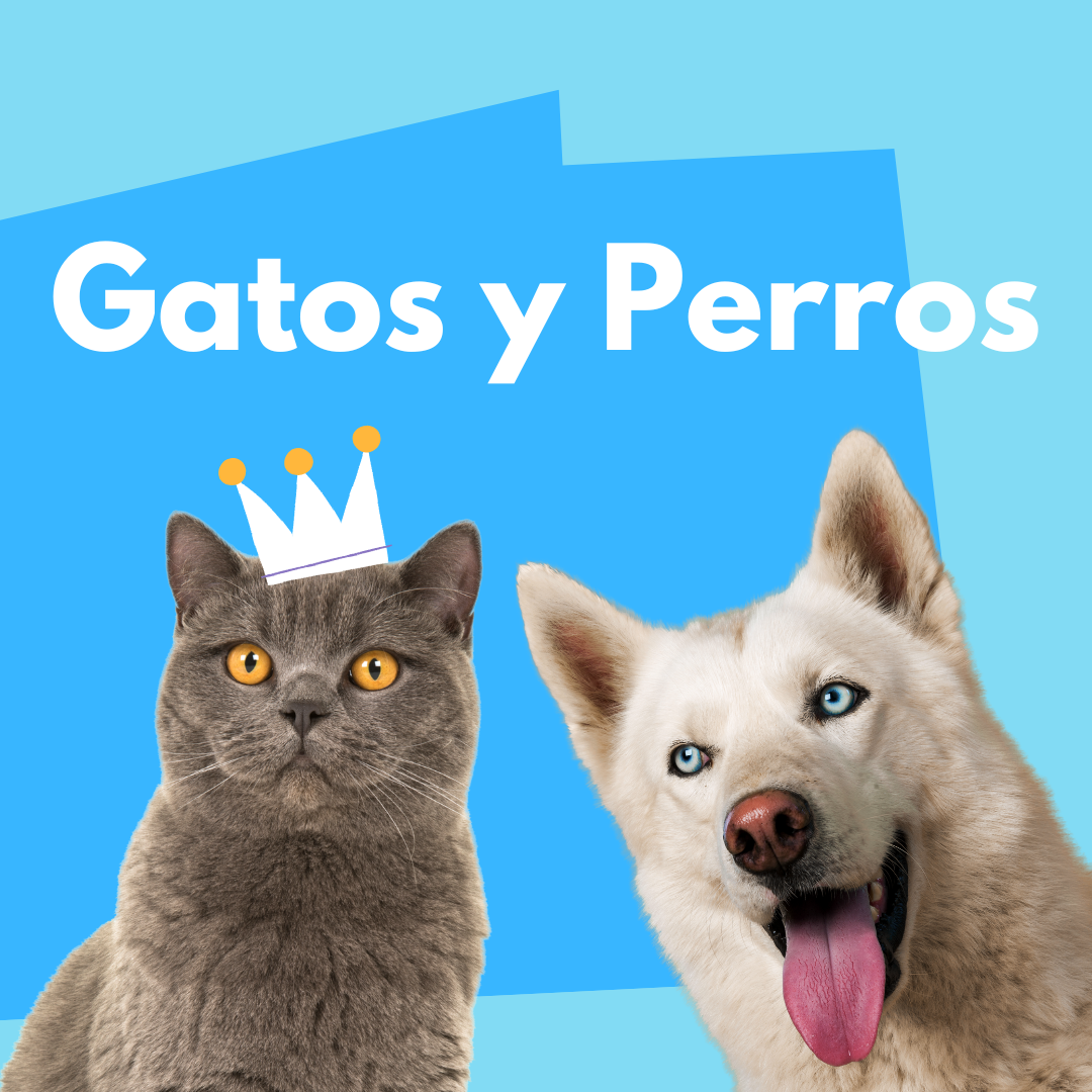 Gatos & Perros