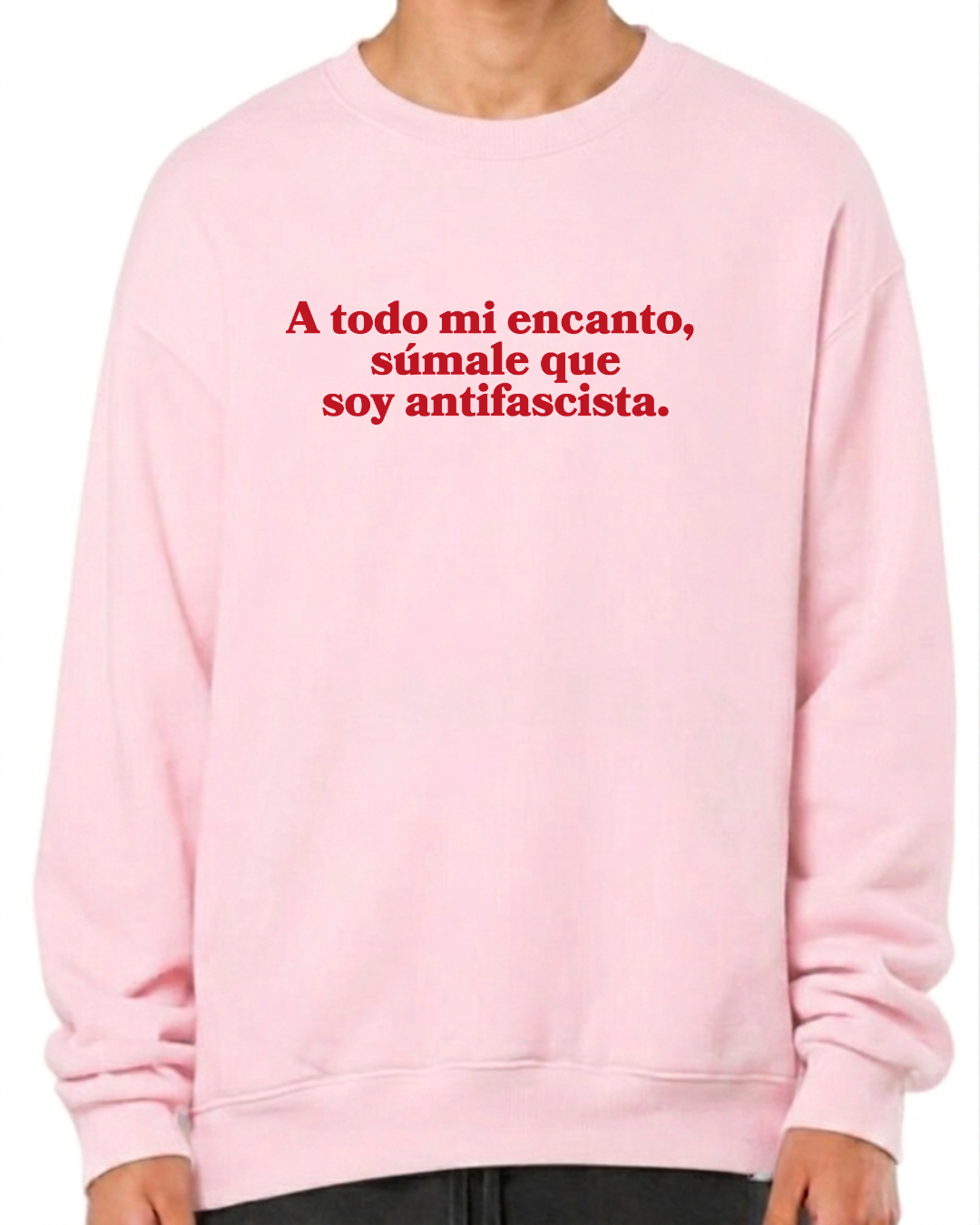 A todo mi encanto súmale , que soy antifascista
