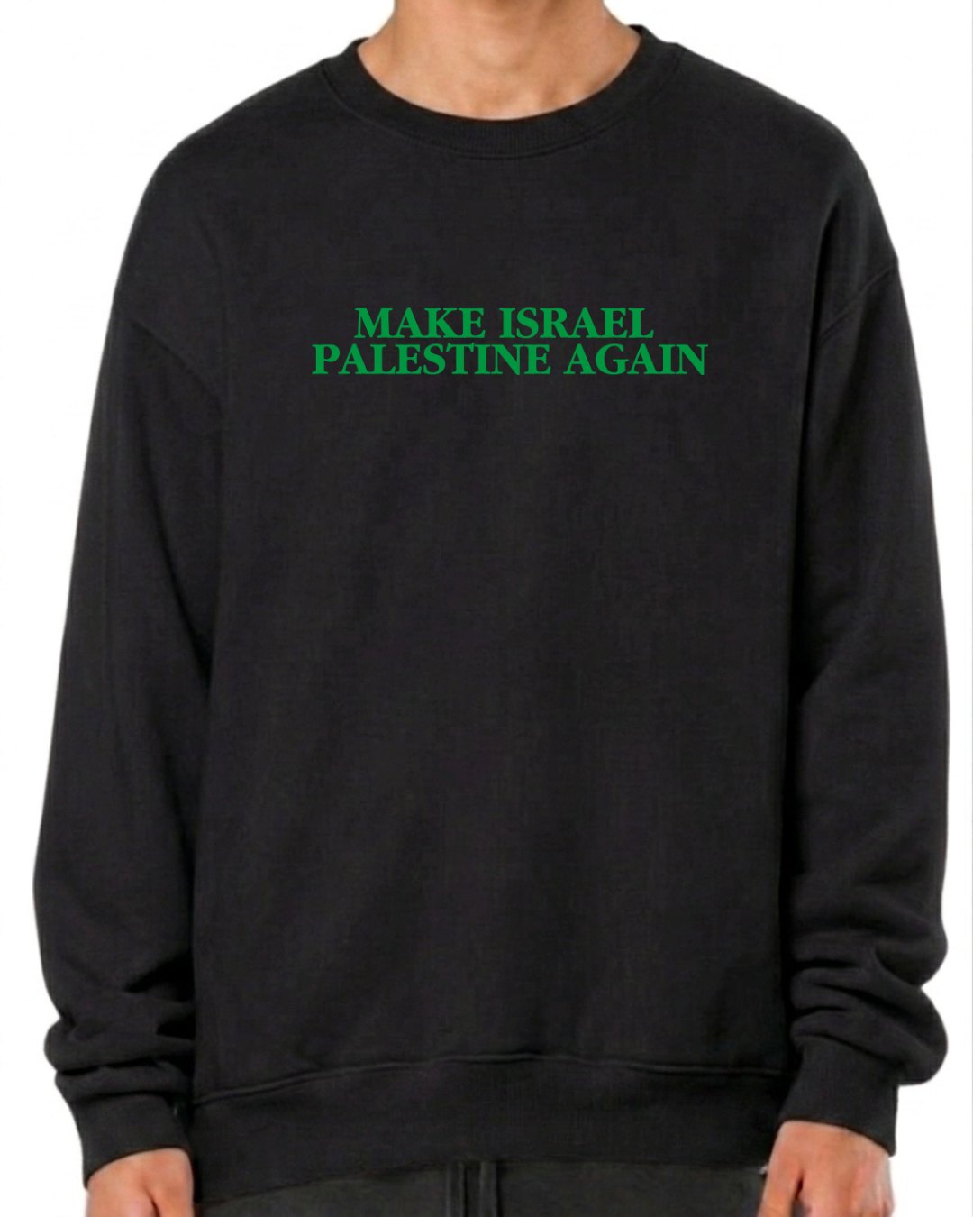 make israel palestine again