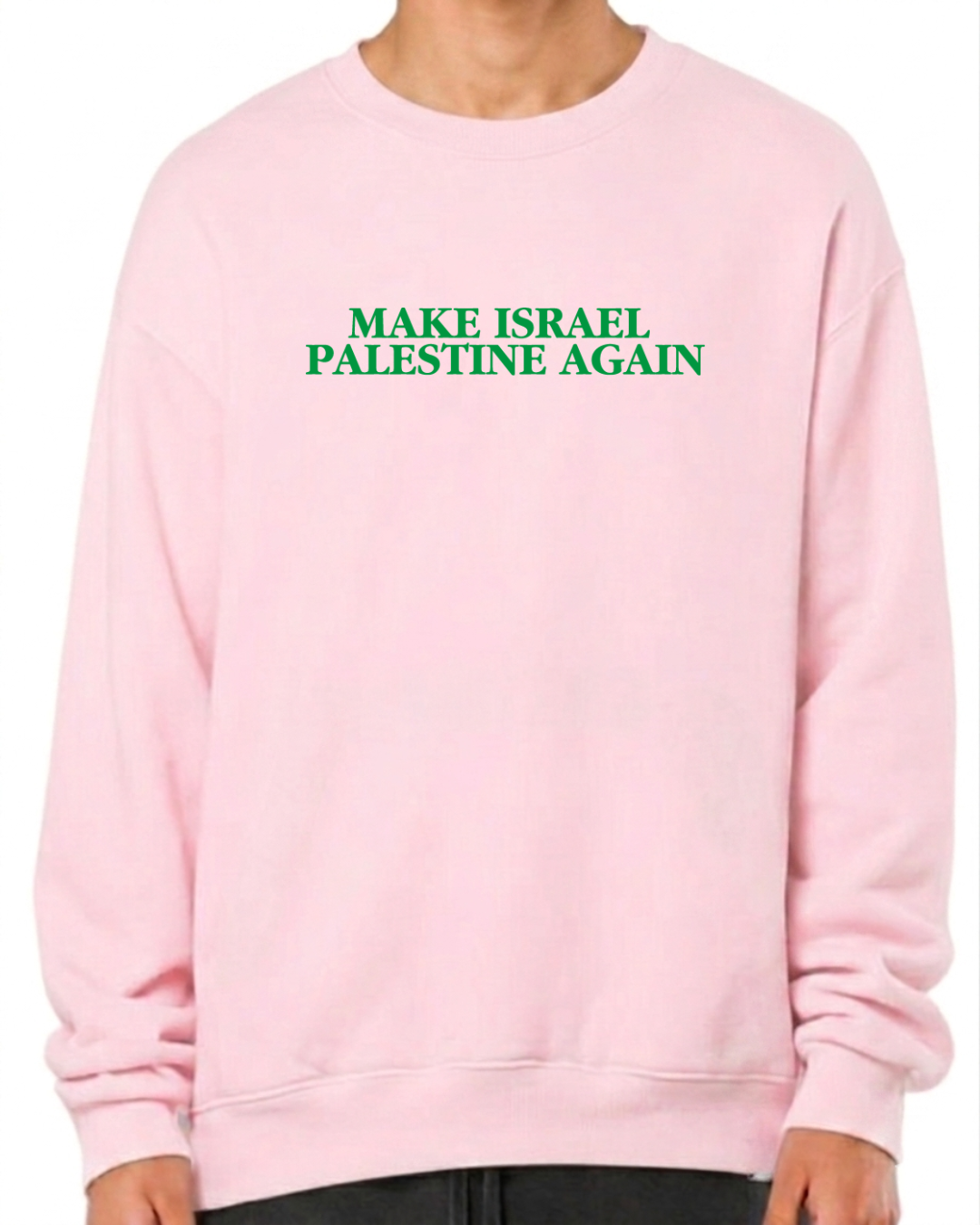 make israel palestine again