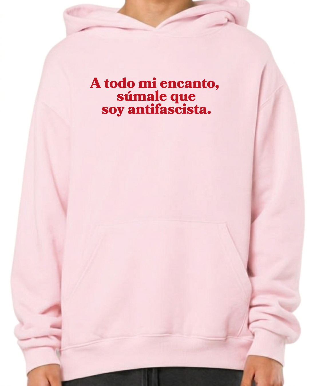 A todo mi encanto súmale , que soy antifascista