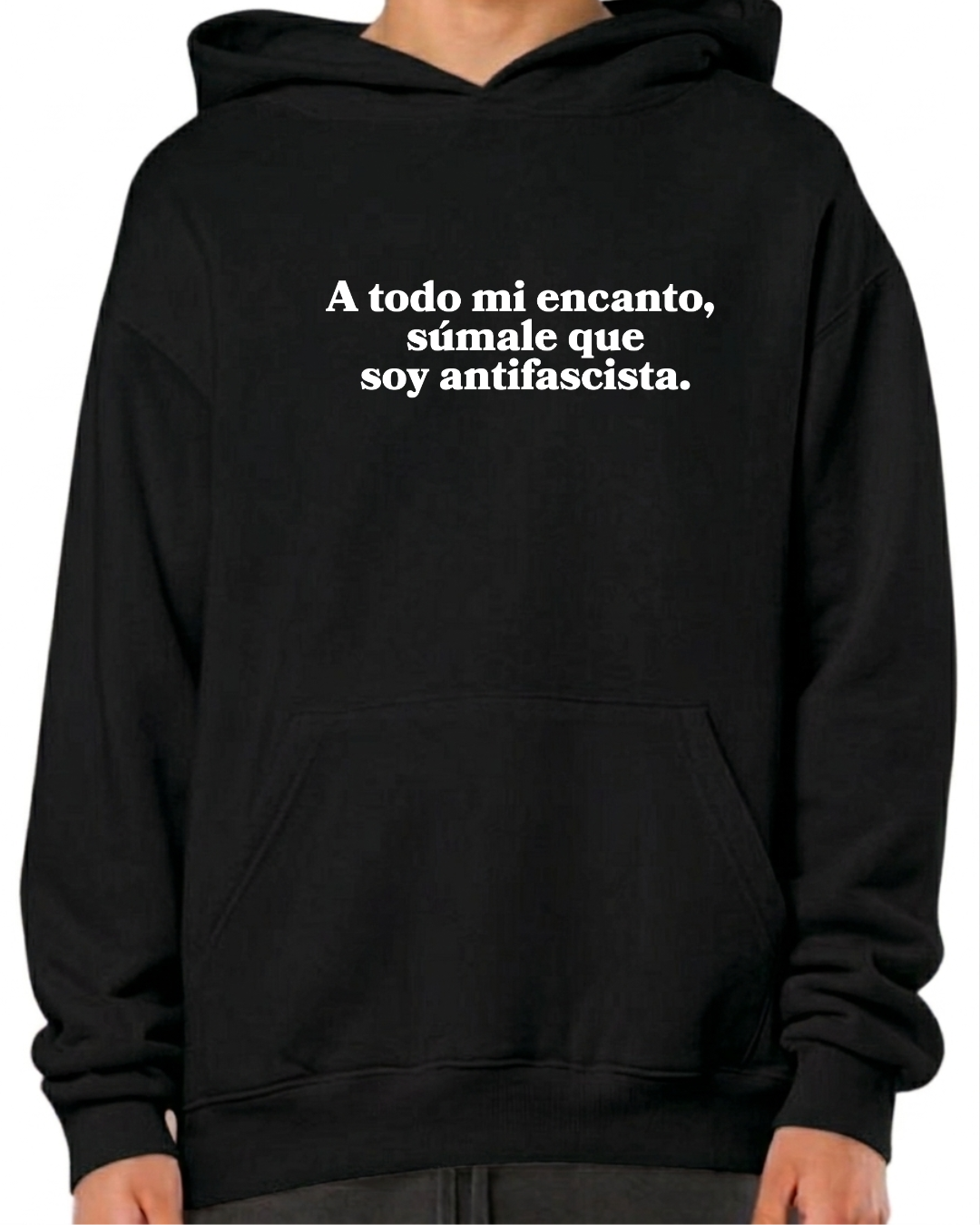 A todo mi encanto súmale , que soy antifascista