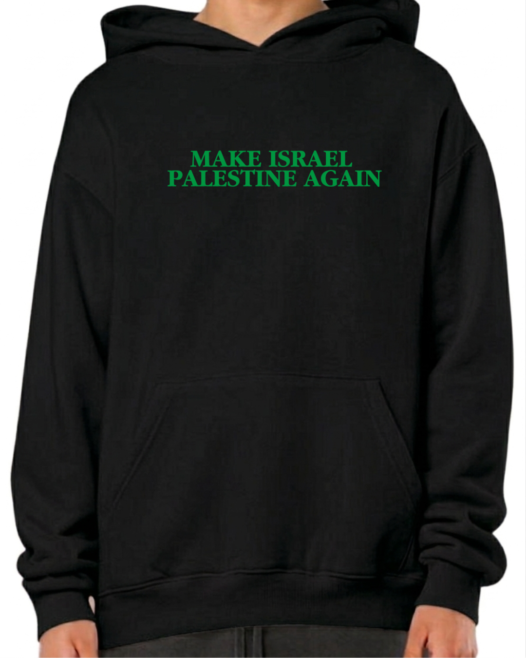 make israel palestine again