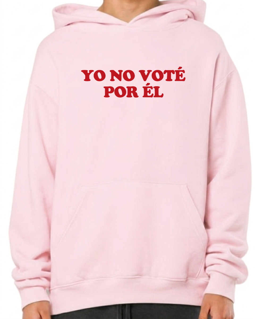Yo no voté por el