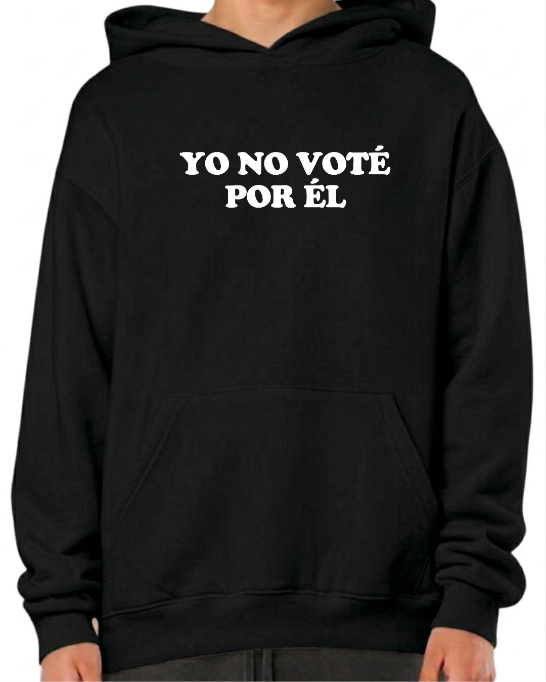 Yo no voté por el