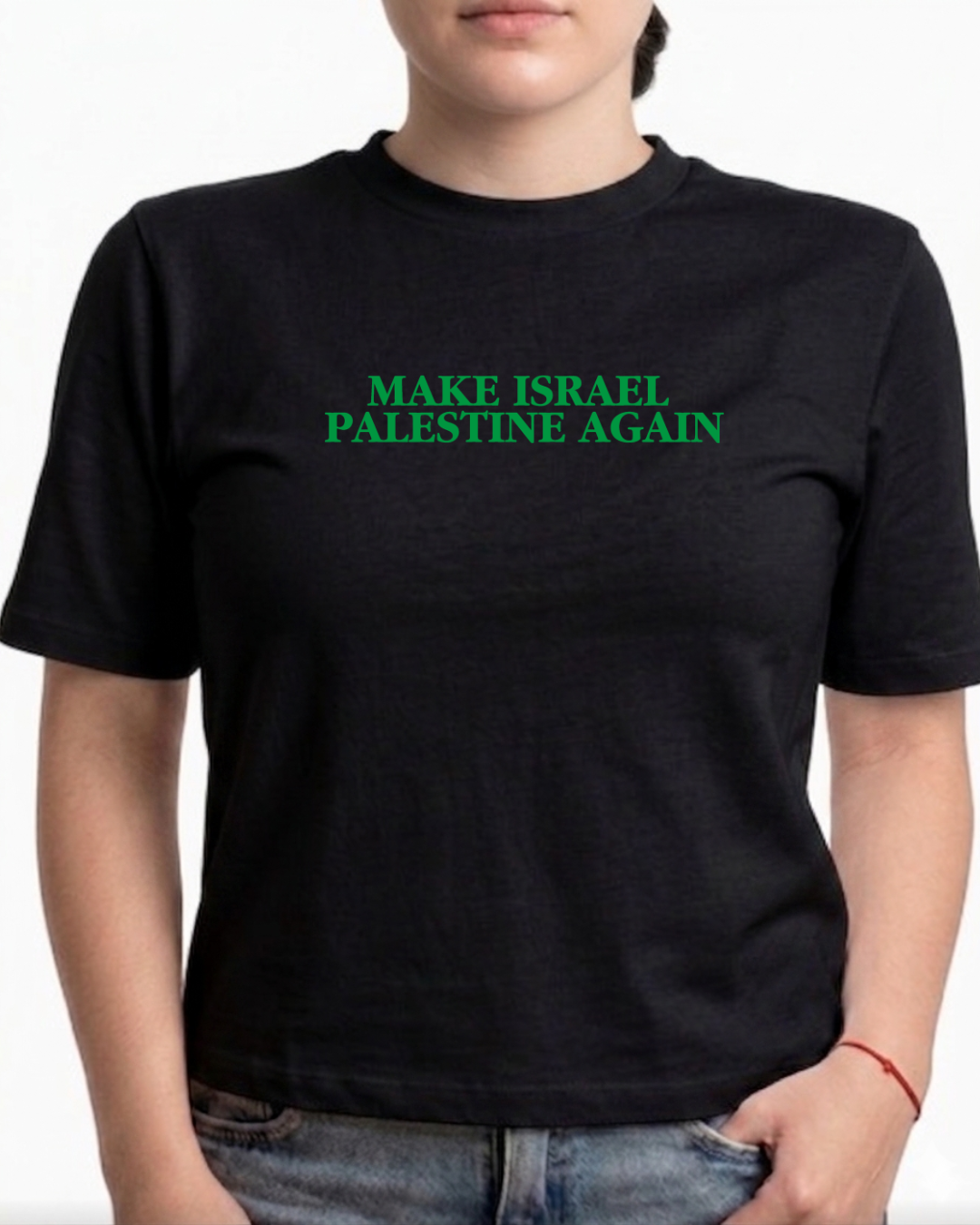 make israel palestine again