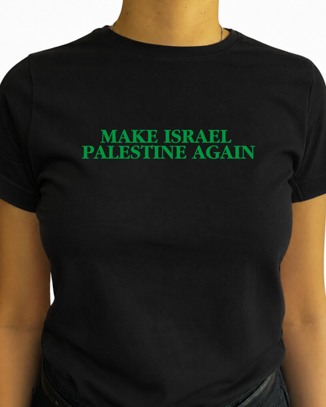 make israel palestine again