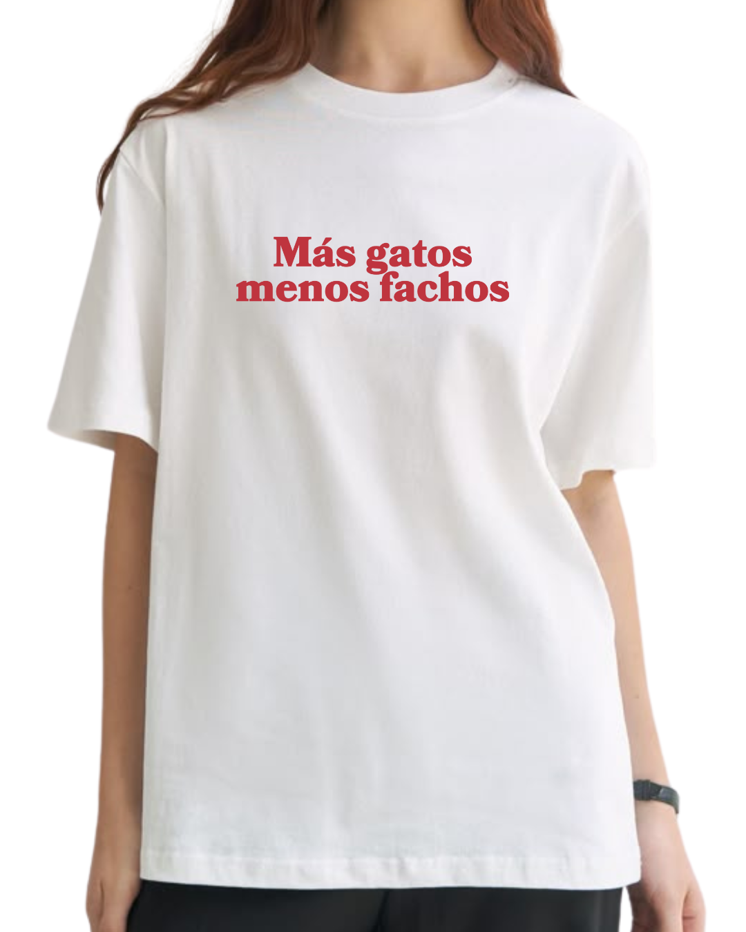 mas gatos menos fachos