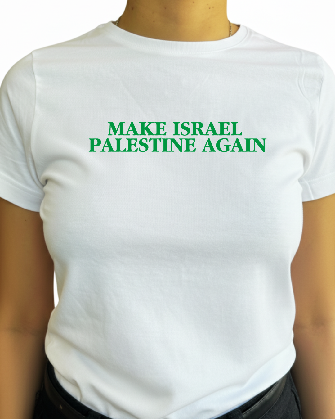 make israel palestine again