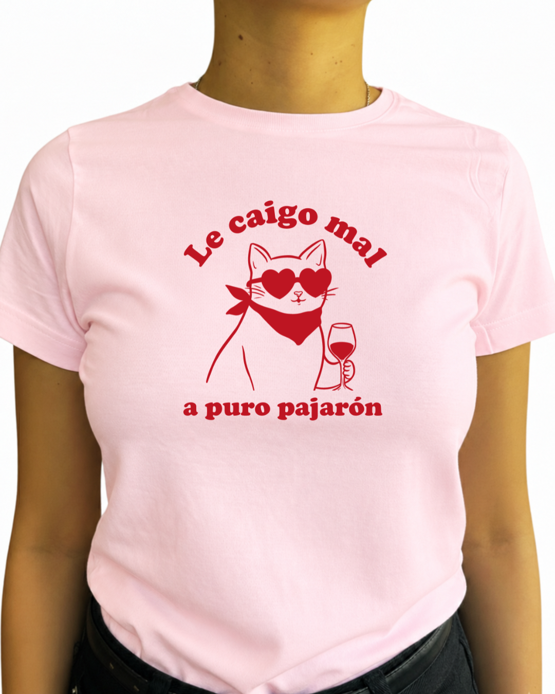 Le caigo mal a puro pajarón