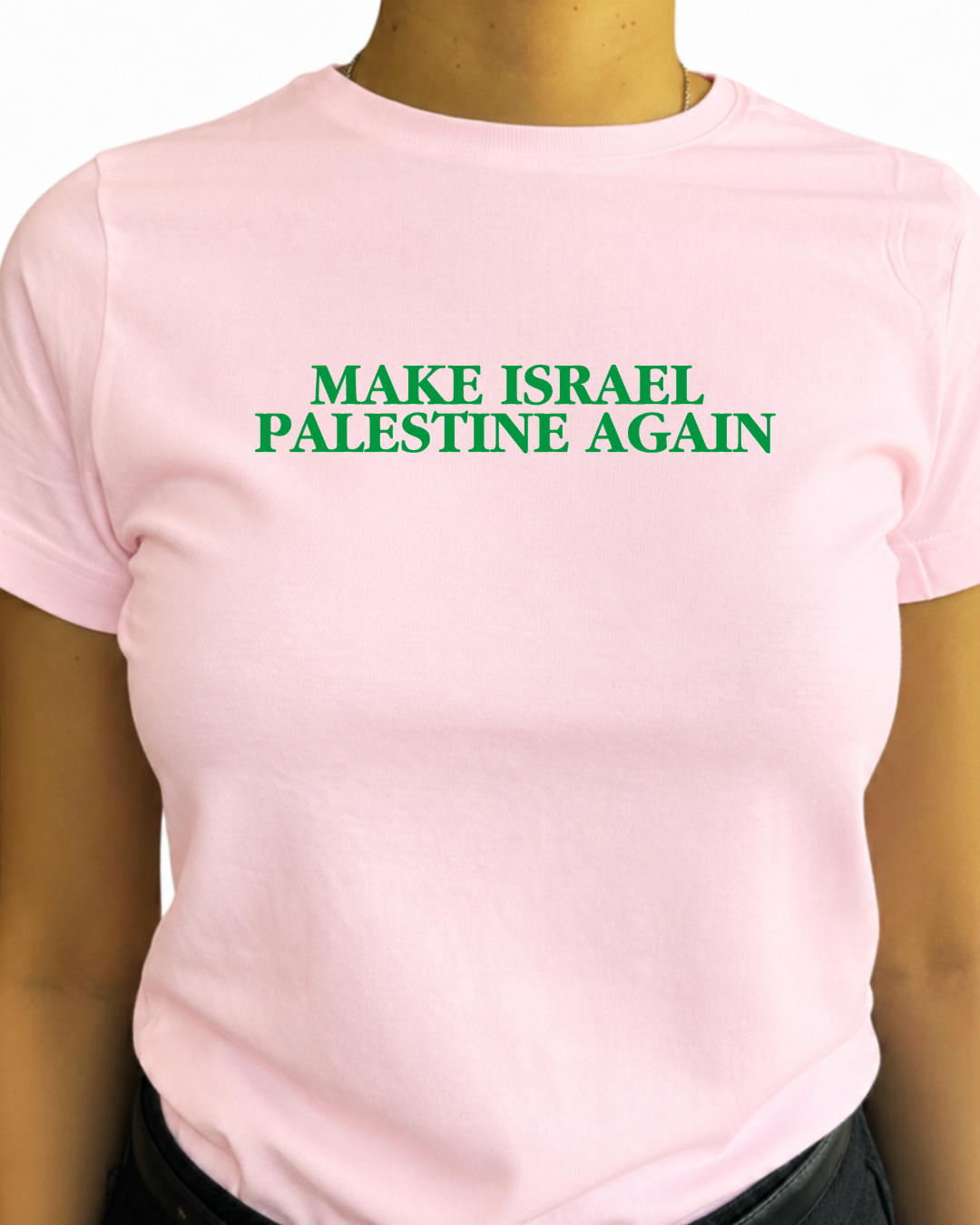 make israel palestine again