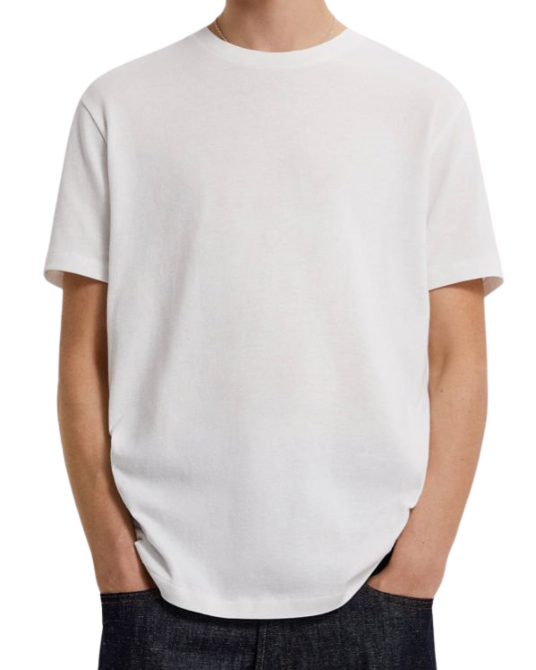 Personaliza tu polera