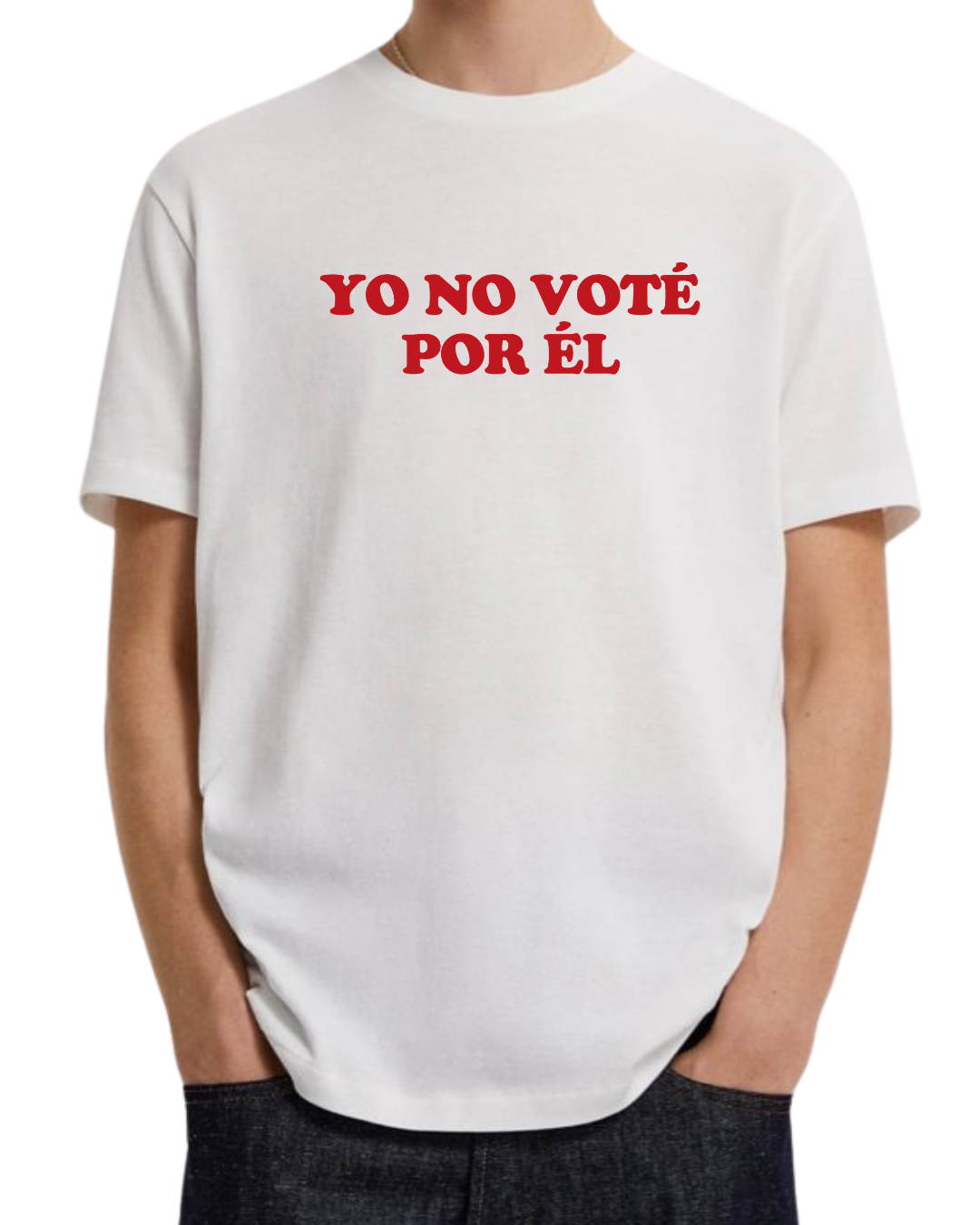 Yo no voté por el