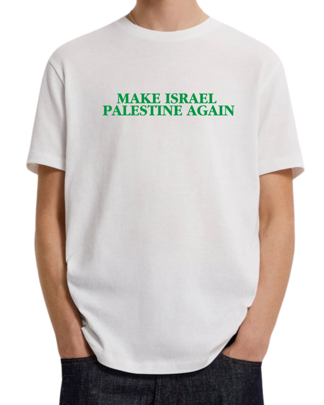 make israel palestine again