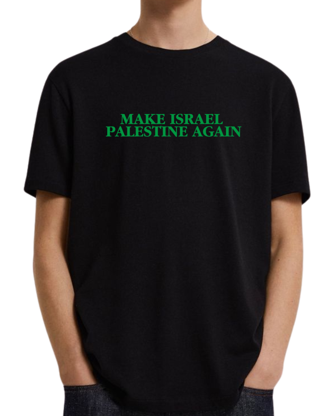 make israel palestine again