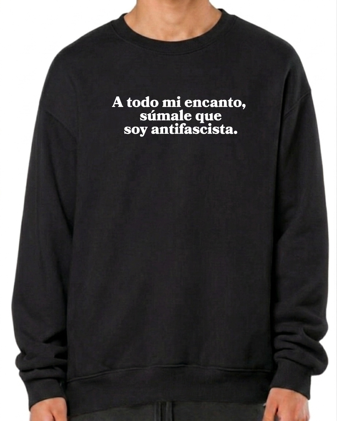 A todo mi encanto súmale , que soy antifascista
