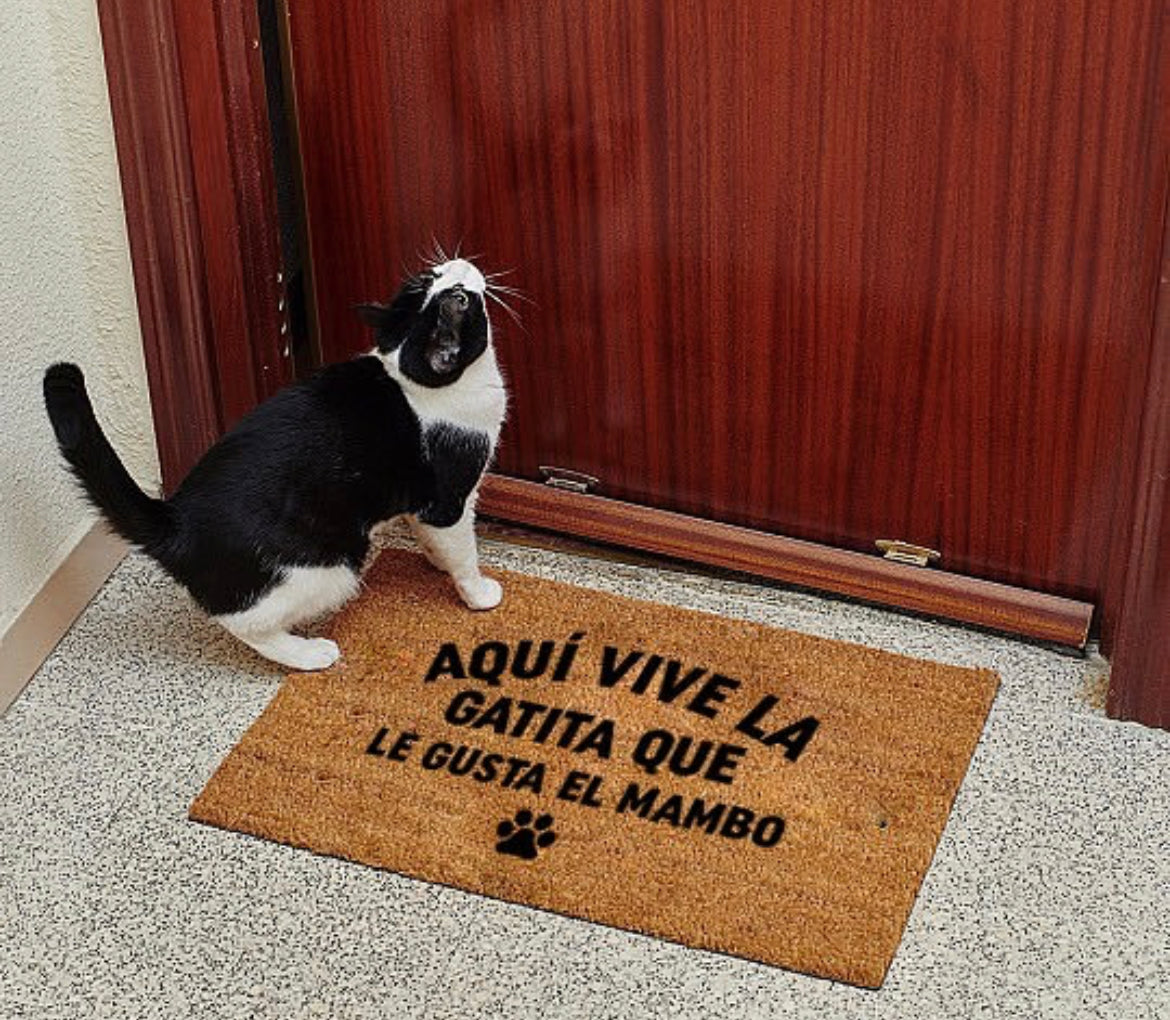 la gatita que le gusta el mambo