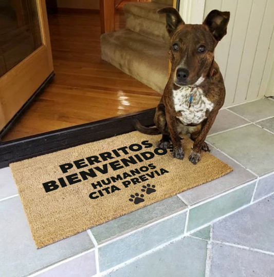 Perritos bienvenidos humanos cita previa -  limpiapies  choapino