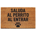 salude al perro al entrar