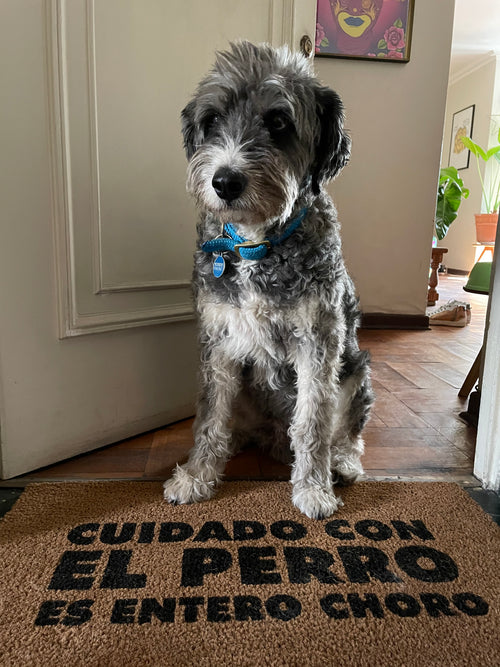 cuidado con el perro es entero choro