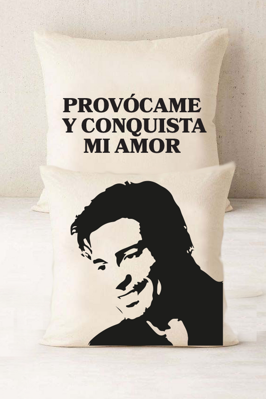 cojin chayanne provocame
