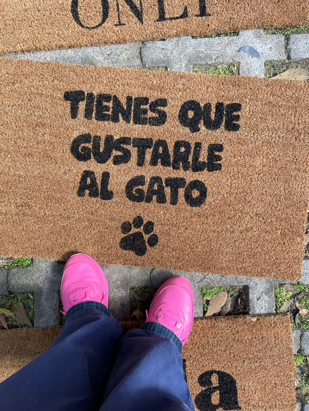 tienes que gustarle al gato